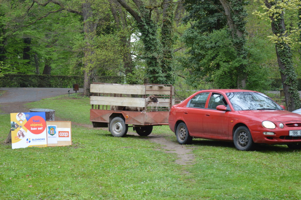 DSC_0226.JPG