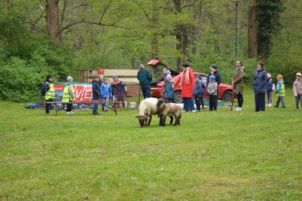 DSC_0249.JPG