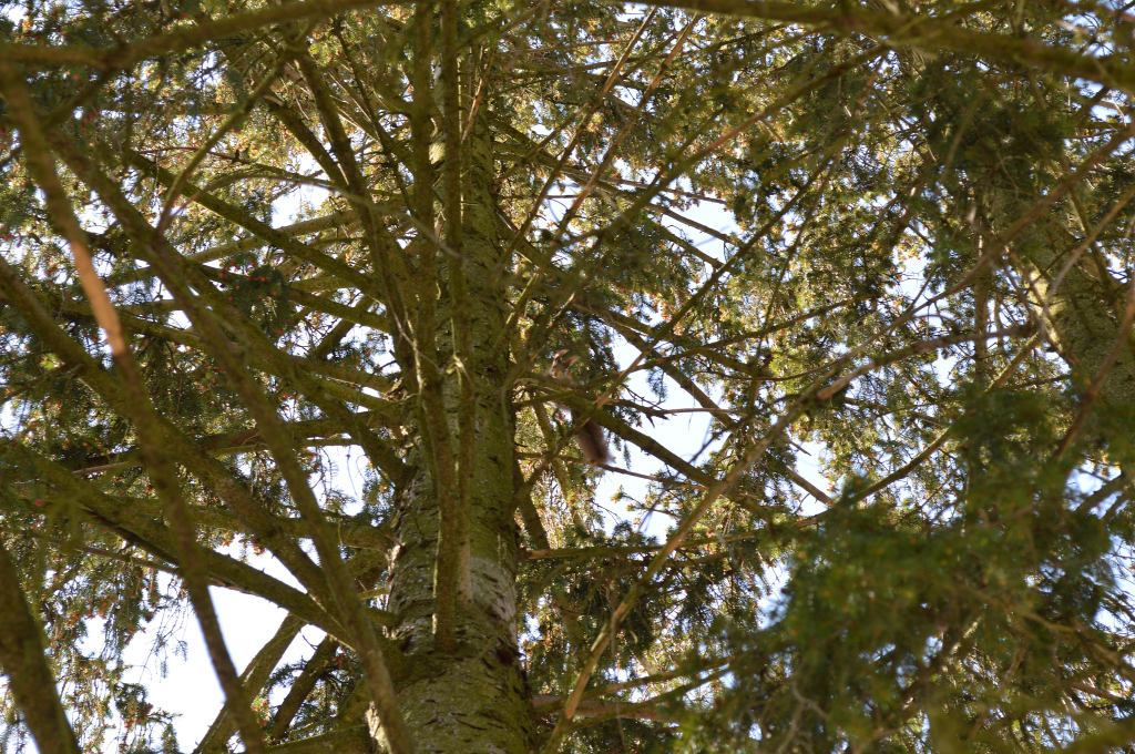 DSC_0170.JPG