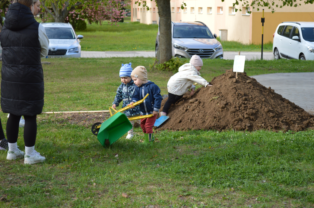 DSC_0184.JPG