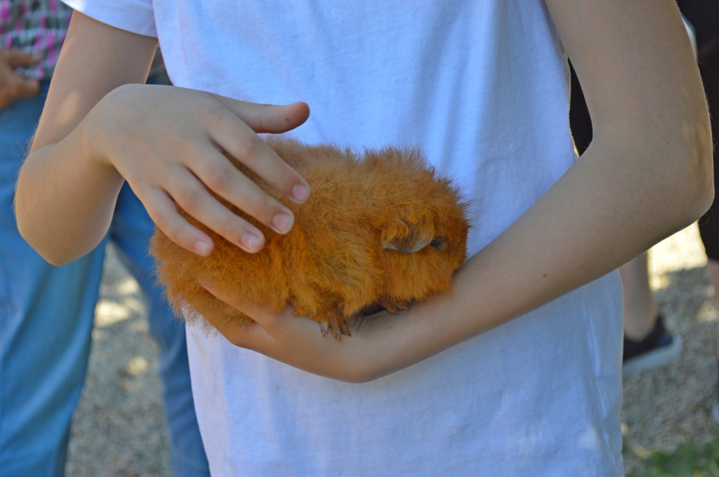 DSC_0143.JPG