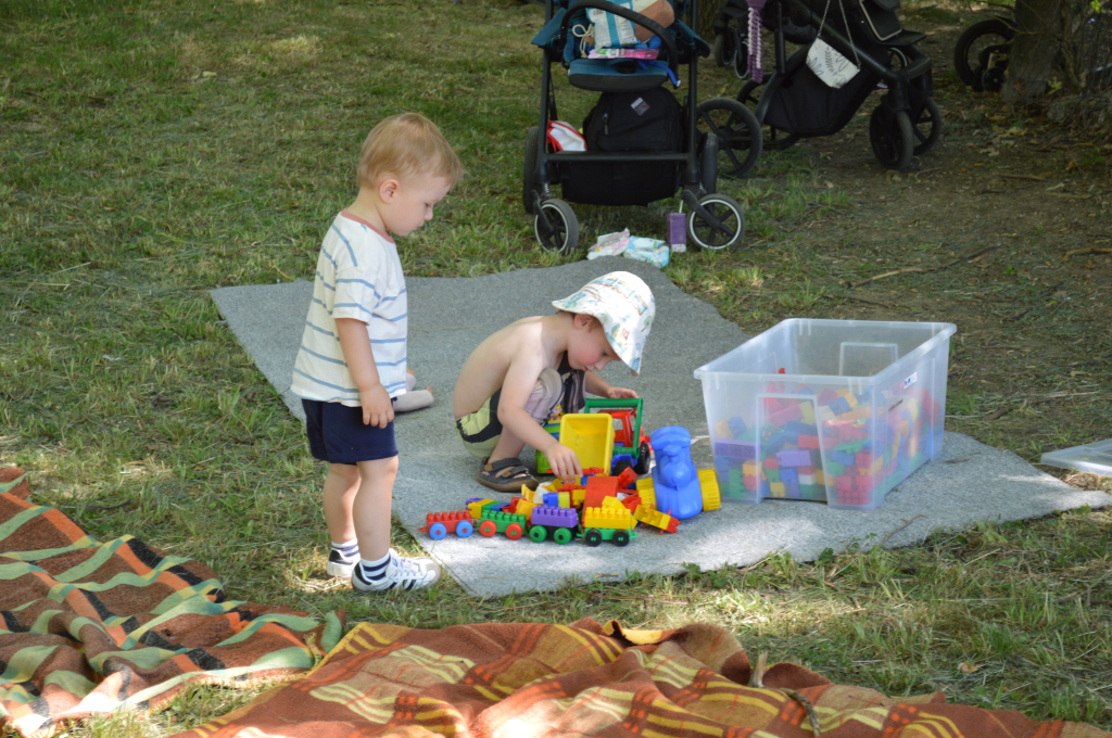 DSC_0429.JPG