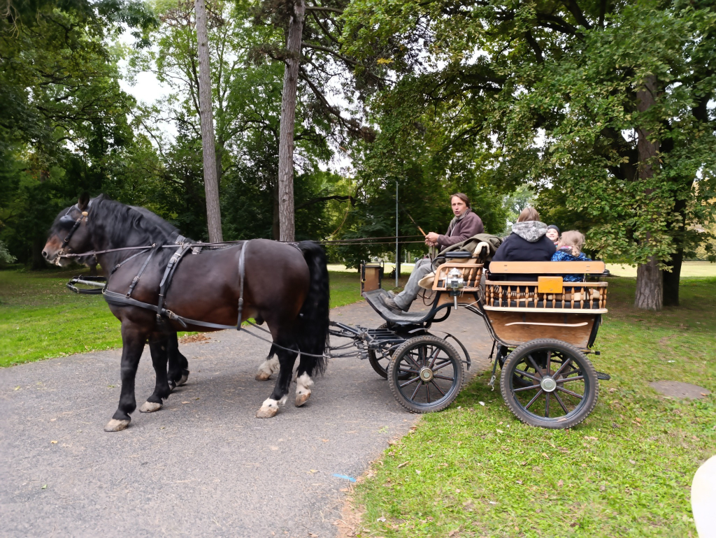 Slavnost padajícího listí ve Strážnici