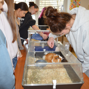 Studenti z Pedagogického lycea 17-18.3
