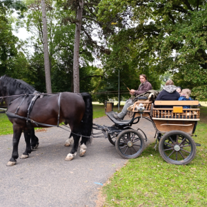 Slavnost padajícího listí ve Strážnici